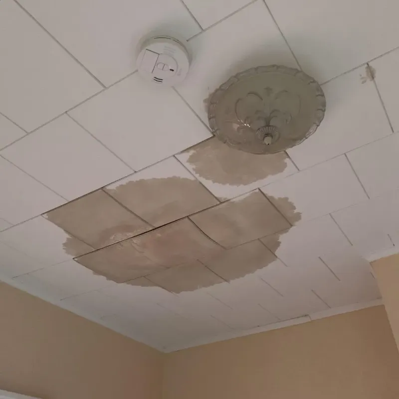 Ceiling Water Damage Repair in Fredonia, NY