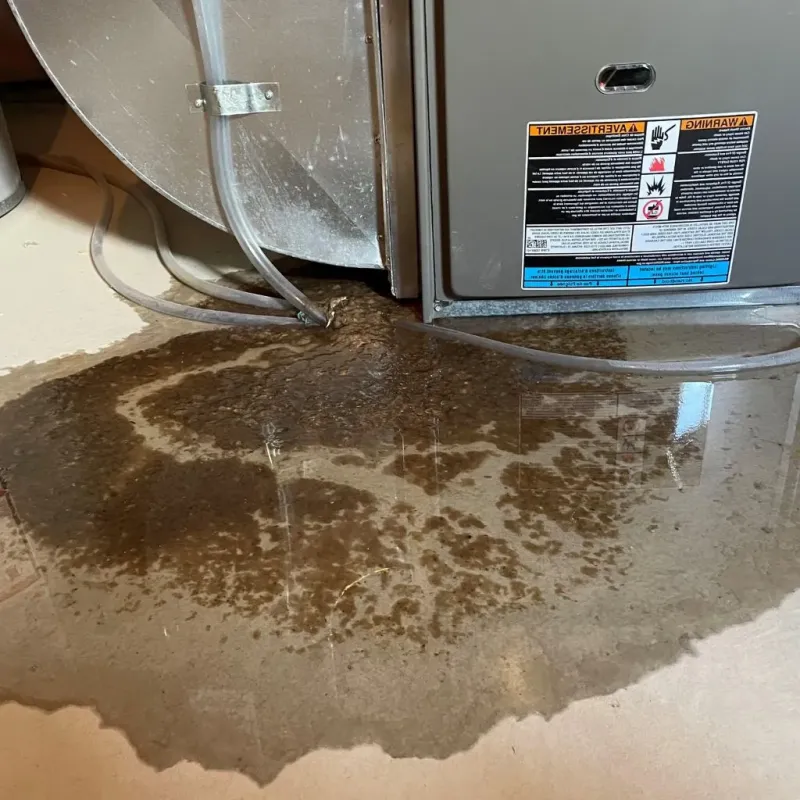 Pipe Burst and Leak Restoration in Fredonia, NY